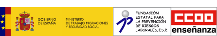 Gobierno de España - Ministerio de empleo y seguridad social | Fundación Estatal para la Prevención de Riesgos Laborales  | Federación de Enseñanza de Comisiones Obreras